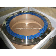 SS Flanges